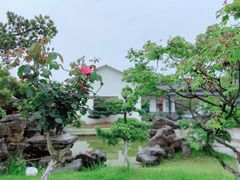 -呼吸森林·生态农庄农家乐私房菜