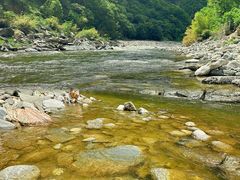 -黑河国家森林公园