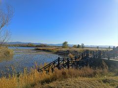 -野鸭湖国家湿地公园
