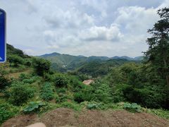 -四明山国家森林公园