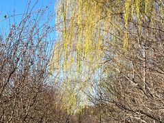 -元大都城垣遗址公园