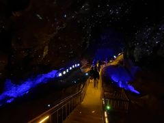 -栾川竹海野生动物园
