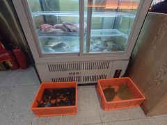 -聚味罗记大排檔·烧烤·鲜鱼杂·甲鱼煲(科学馆店)