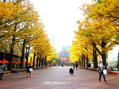 -北海道厅旧本厅舍(旧本庁舎)