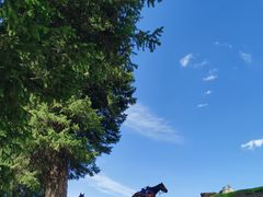 -新疆那拉提国家旅游度假区