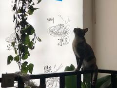 -三生小馆(亭知路店)