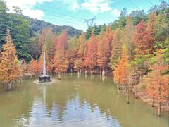 -广州市帽峰山景区