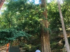 -北京上方山国家森林公园