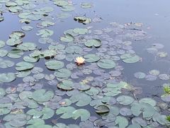 -杭州植物园