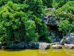 -上海吴淞炮台湾国家湿地公园