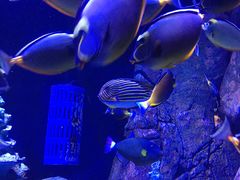 -成都浩海立方海洋公园