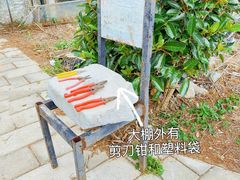 -前小桔亲子创意农场·草莓采摘·露营烧烤