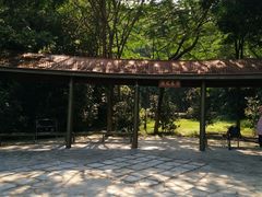 -玉树公园