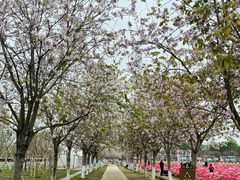 -盈香心动乐园