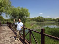 -贡湖湾湿地公园