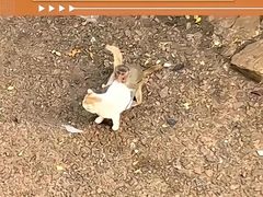 -昆明动物园