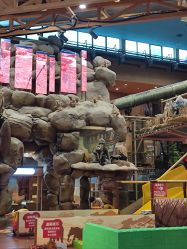 -卡通尼·Safari非洲探索乐园·生日会(金桥国际商业广场店)