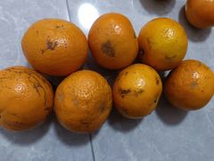 -盛福小关菜市场