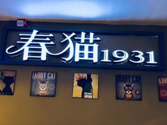 -猫咪博物馆(顶澳仔猫街店)