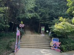 -上海佘山国家森林公园天马山园