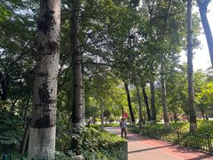 -西安市长乐公园