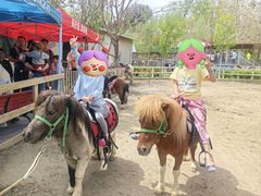 -水上乐园·欢乐世界