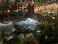 -白虎自助餐厅·真老虎·景观自助餐厅(广州长隆酒店)