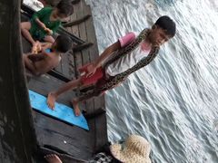 -洞里萨湖