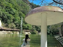 -龙湾潭国家森林公园