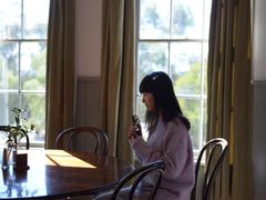 -疏芬山金矿