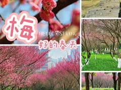 -重庆中央公园(渝北区)