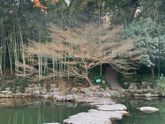 -杭州植物园