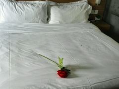 android_upload_pic-宜必思酒店(扬州文昌阁店)