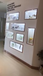 -素妍印象Ekrin Medi Clinic