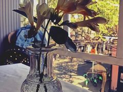 -蝶舍·MAISON PAPILLON