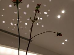 -本来就好(九方荟店)