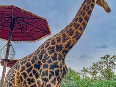 -济南野生动物世界