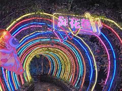 -杭州宋城
