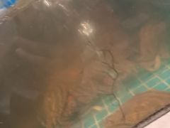 -妈妈菜舟山海鲜(定海古城店)