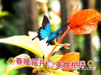 糖醋龙利鱼+猪猪招财包