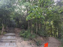 -龙坞茶村