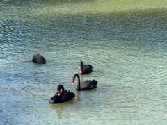 -广州白江湖森林公园