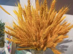 -美画·轻奢美甲美睫