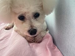 -月见草(金苑华城店)