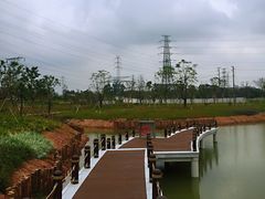 -王借岗森林公园