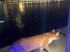 -琶醍壹号•潮菜江景餐吧