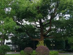 -上海虹桥迎宾馆