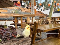 -伴山茶苑·围炉煮茶