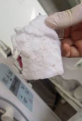-苗方清颜•痘肌问题肌专研