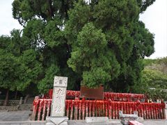 -四门塔风景区